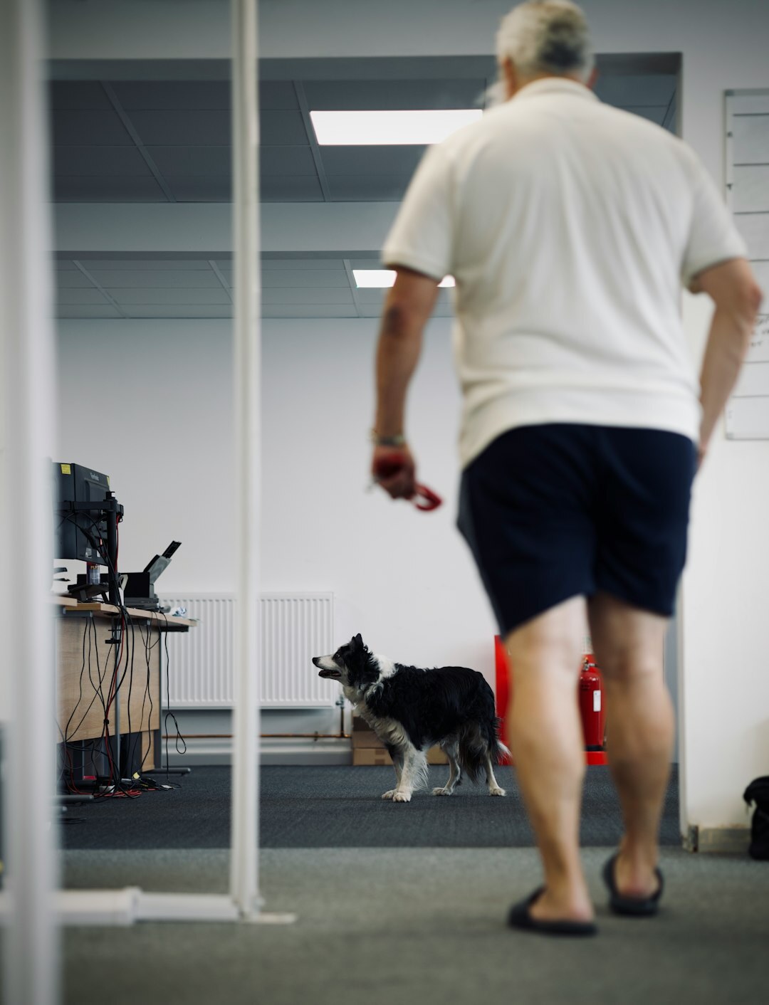 elderly person doing gentle exercise