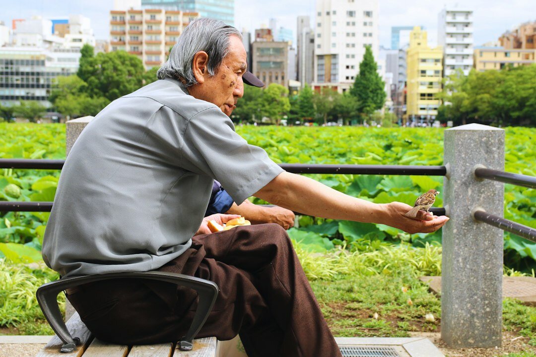 Portrait of a smiling elderly Japanese man